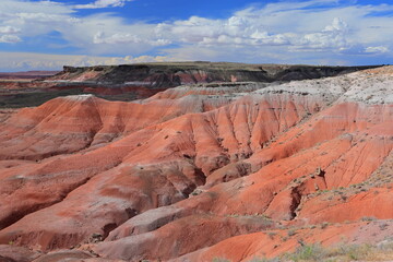 Petrified Forest National Park, a natural attraction place with many petrified tree trunks and fossils, in Arizona, USA. © leochen66