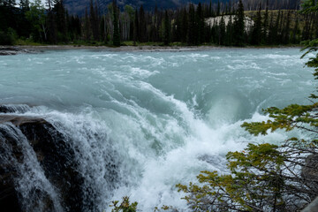 Powerful turquoise river cascades over rocks in a dramatic natural waterfall scene, Athabasca Fall, Jasper park, Alberta, Canada © Rajesh