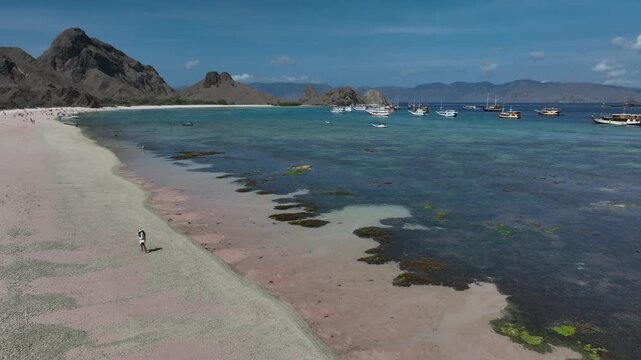 Aerial view of pink beach of Padar island in Komodo national park, Indonesia