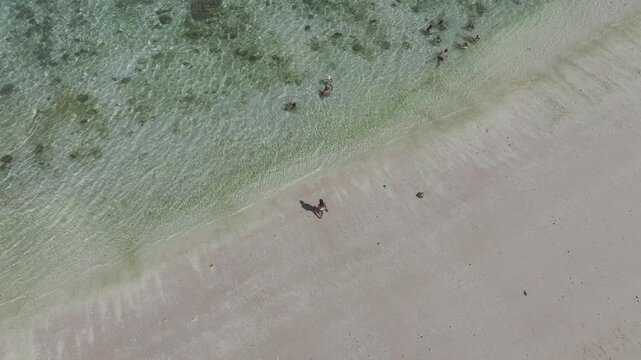 Aerial view of pink beach of Padar island in Komodo national park, Indonesia