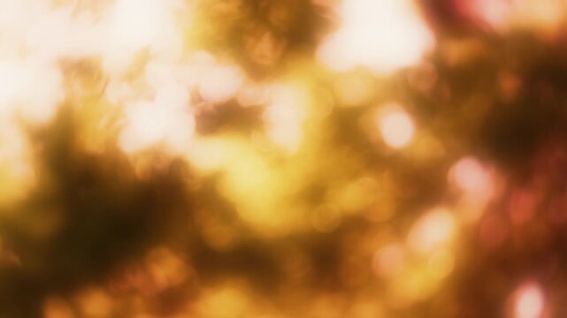 秋の木漏れ日ときらめく紅葉の葉、黄色とオレンジ色の暖色系玉ボケ背景の動画素材