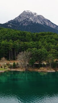 Aerial of Doxa Lakeside, Road Mountain and Forest Nature Sennery, Feneos, Corinthia, Greece