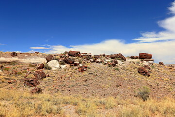 Petrified Forest National Park, a natural attraction place with many petrified tree trunks and fossils, in Arizona, USA. © leochen66