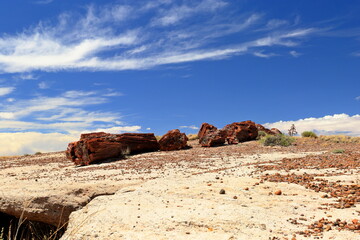 Petrified Forest National Park, a natural attraction place with many petrified tree trunks and fossils, in Arizona, USA. © leochen66