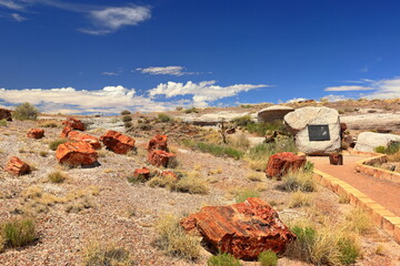 Petrified Forest National Park, a natural attraction place with many petrified tree trunks and fossils, in Arizona, USA. © leochen66