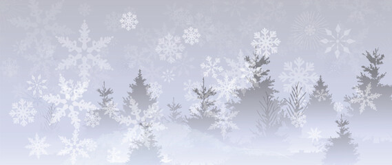 Obraz premium Snowy winter forest background vector with frosted pine trees, misty gray landscape and falling snow for seasonal holiday design
