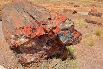 Petrified Forest National Park, a natural attraction place with many petrified tree trunks and fossils, in Arizona, USA. © leochen66