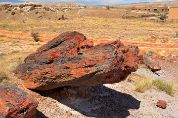 Petrified Forest National Park, a natural attraction place with many petrified tree trunks and fossils, in Arizona, USA. © leochen66