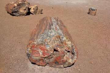 Petrified Forest National Park, a natural attraction place with many petrified tree trunks and fossils, in Arizona, USA. © leochen66