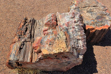 Petrified Forest National Park, a natural attraction place with many petrified tree trunks and fossils, in Arizona, USA. © leochen66