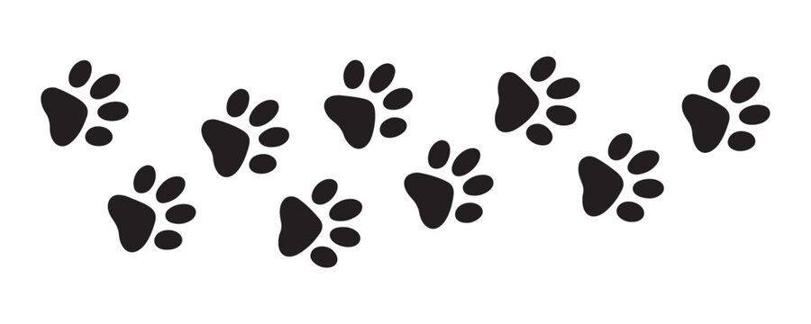 Two parallel rows of pet footprints creating structured animal walking path on transparent base.