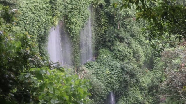 Twin Waterfall Flowing on Lush Green Mossy Cliff at Batu Kliang Utara Lombok Tengah
