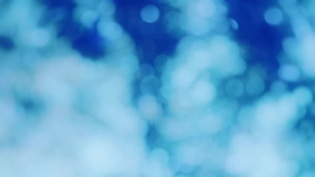 冬の木漏れ日と雪をまとった木々、キラキラ輝く寒色系玉ボケ背景の動画素材