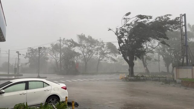 Extreme Hurricane Winds Lash Trees As Tropical Cyclone Strikes City