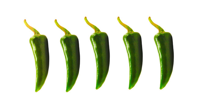 Row of Five Fresh Green Chili Peppers Isolated on Transparent PNG Background