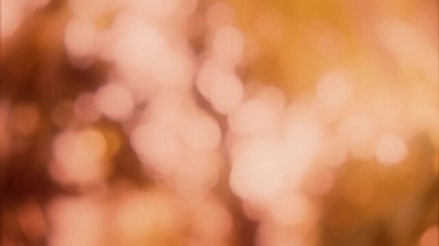 光り輝く木漏れ日と美しくボケる紅葉、黄色とオレンジの幻想的な秋の背景
