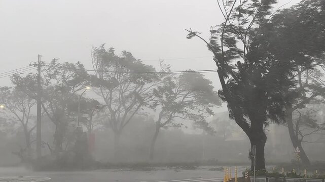 Trees Bend And Thrash In Ferocious Hurricane Winds And Heavy Rain