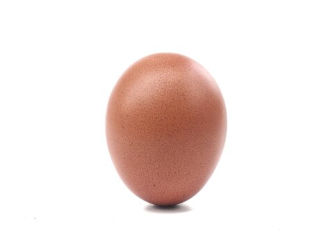 Single raw brown chicken egg standing vertically, isolated on a white background, ideal for cooking, baking, farm fresh food, nutrition, protein ingredients, and culinary design concepts