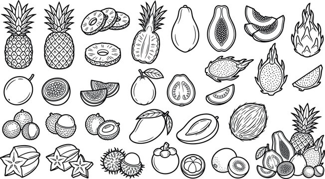 Tropical fruits sketch collection vector illustration with pineapple dragon fruit mango papaya coconut and exotic hand drawn elements