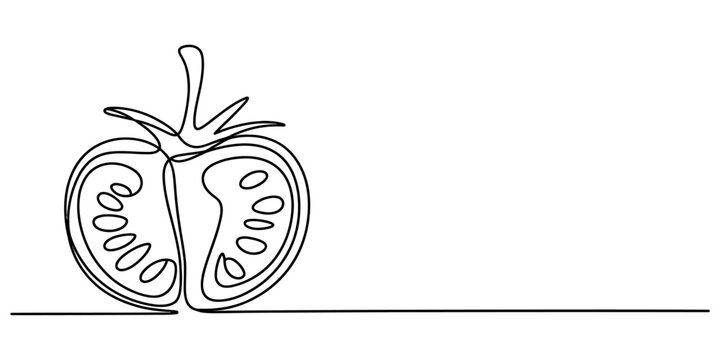 Continuous single line drawing of a fresh tomato half isolated on white background Vector, illustration