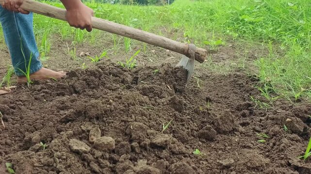Farmer digging fertile soil with hoe tool in field for planting crop, agricultural land preparation concept