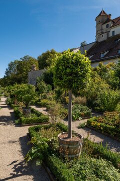 Willibaldsburg Bastion Garden, dates back to the botanical garden created by Prince-Bishop Johann Konrad of Gemmingen, plants served as a model for Hortus Eystettensis published in 1613, the most famous plant book of the Renaissance, Eichst&auml;tt, Altm&uuml;hltal, Upper Bavaria, Bavaria, Germany