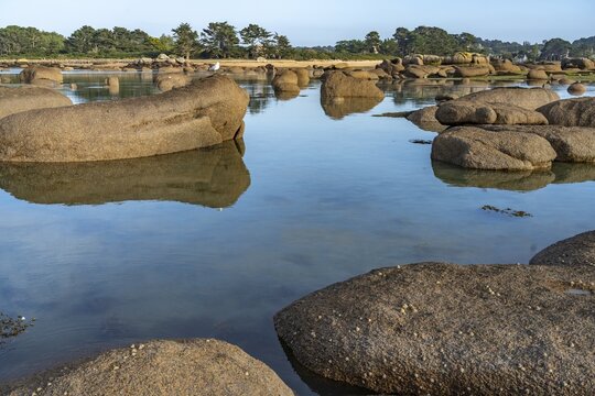 The rocks of the pink granite coast C&ocirc;te de Granit Rose at the Baie de Sainte Anne near Tregastel, Brittany, France