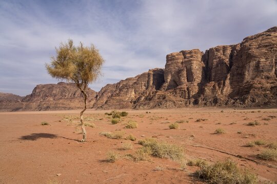 Landscape with rocks in the desert Wadi Rum, Jordan