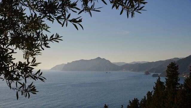 View of the coast, coastal mountains, branches in the foreground, Pentati, village above the bay of Agios Gordios, Corfu Island, Ionian Islands, Greece