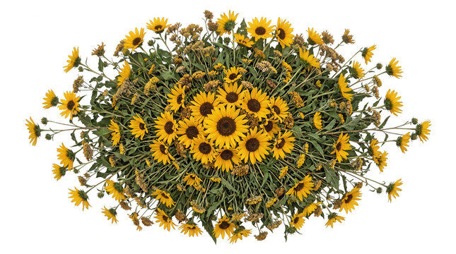 Arreglo de girasoles amarillos sobre fondo blanco