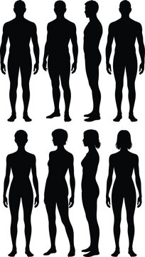 Collection of human body silhouettes showing male and female figures in front, back, and side views in solid black on white background