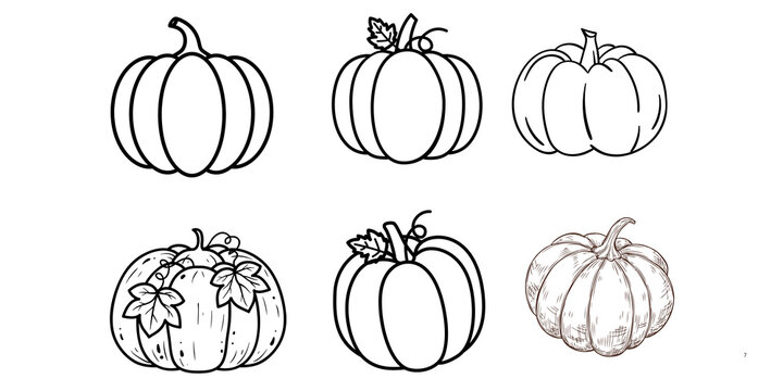 Minimalist pumpkin line art collection, set of 6 autumn squash sketches, black and white fall harvest icons for coloring and design