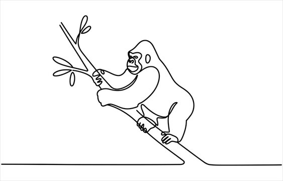Continuous single line drawing of a gorilla climbing on a tree branch