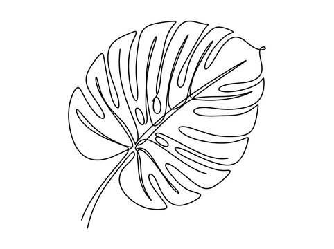 Monstera leaf continuous line drawing on a white background