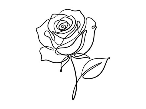 Single line drawing of a rose flower on a white background