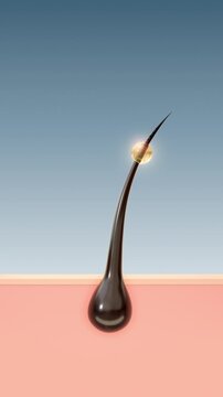 3D animation, Golden serum droplets enveloping a healthy hair root, deep follicle nourishment, strength, Hair care innovation concept