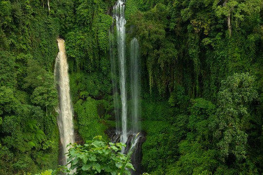 Waterfalls cascade down lush greenery in Bali, showcasing nature