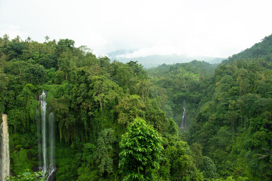 Waterfalls flow through thick green forests in Balis landscape