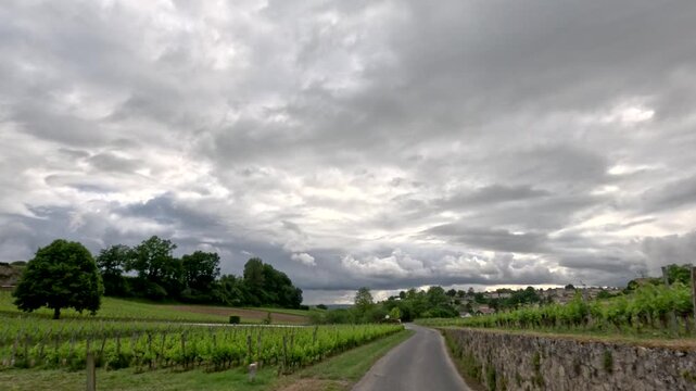 Country Road Winding Through Lush Green Vineyards Under Overcast Sky