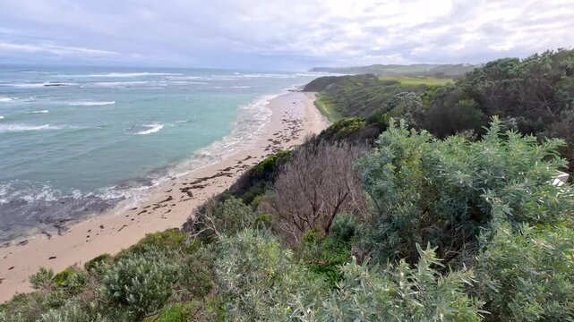 Scenic Coastal View of Ocean Beach and Cliffs Through Native Shrubbery