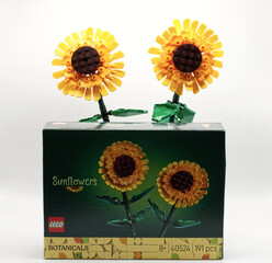 Fototapeta premium Bologna - Italy - September 8, 2026: Built lego sunflowers from the botanicals collection shown with their original retail packaging box on white background.