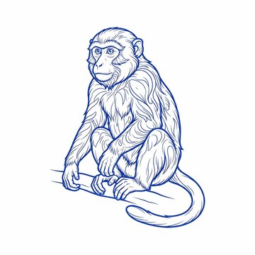 Blue line art illustration of a sitting macaque monkey on a branch