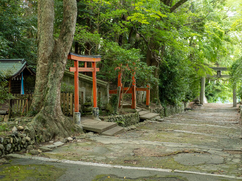 神社の参道に建つ鳥居