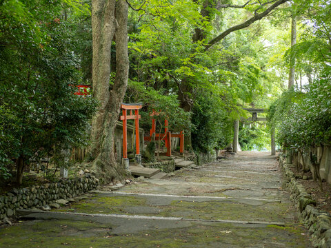 神社の参道に建つ鳥居