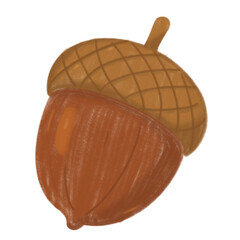 Acorns Illustration © 지영 오