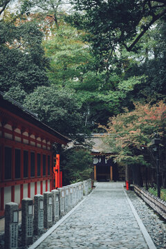神社の参道