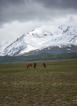 Alay Valley of Osh Region, Kyrgyzstan,