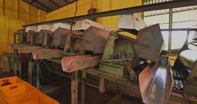 Row of numbered tea processing machines shows repeated metal hoppers enclosed drums drive shafts discharge chutes and orange collection bins aligned inside the factory in a fixed wide view