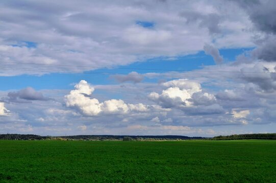 Scenic green field landscape under a beautiful blue sky with fluffy white cumulus clouds.