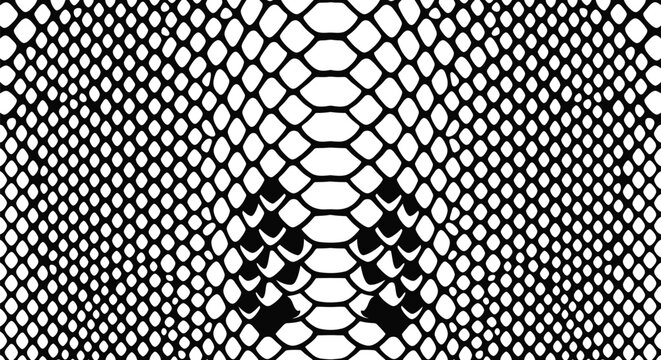 Snake skin pattern monochrome vector illustration featuring geometric reptile scales for fashion textile design